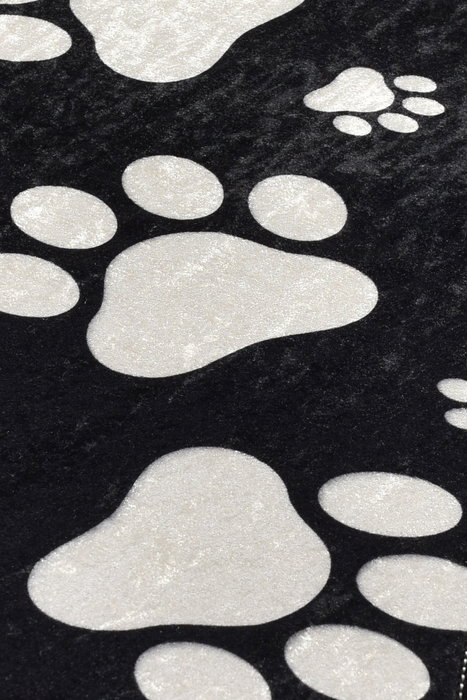 Conceptum Alfombra Paw Multicolor 60 x 100 cm